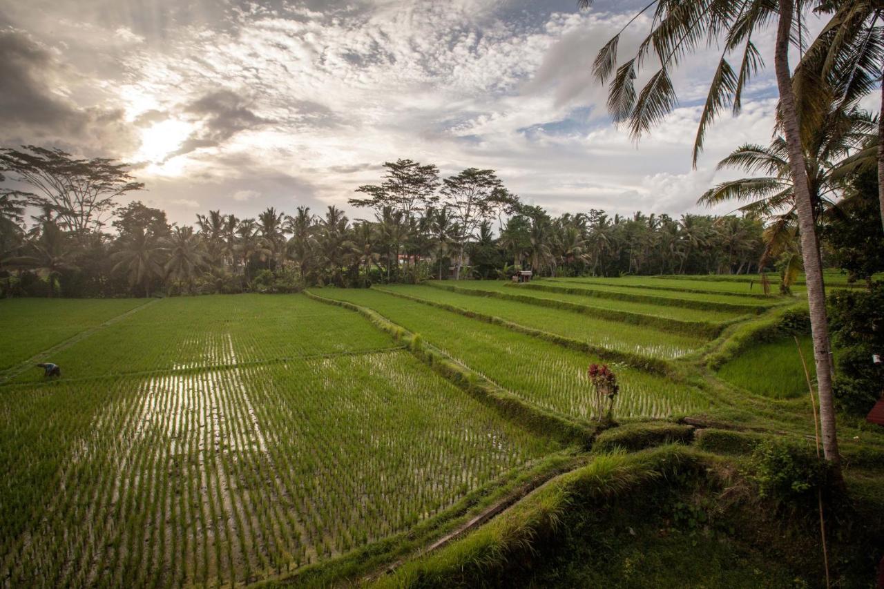 Junjungan Ubud Hotel And Spa Экстерьер фото